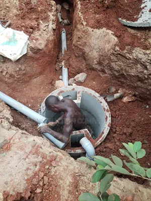 Biodigester You Will Like