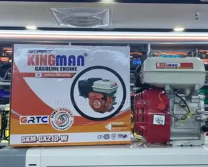 Gasoline/Petrol 8.5hp Engine