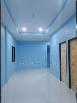 Best Home Painting 2026