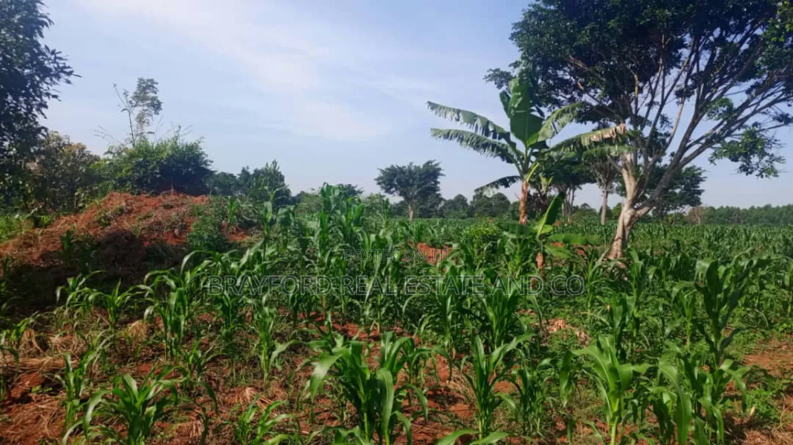 Land for Sale