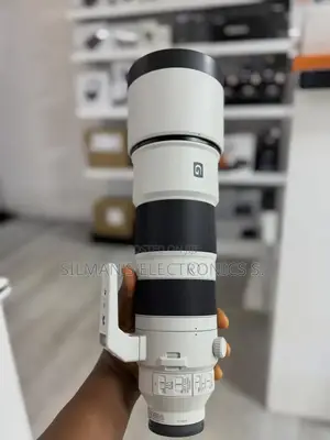 Sony Fe 200-600mm F/5.6-6.3 G Oss Lens
