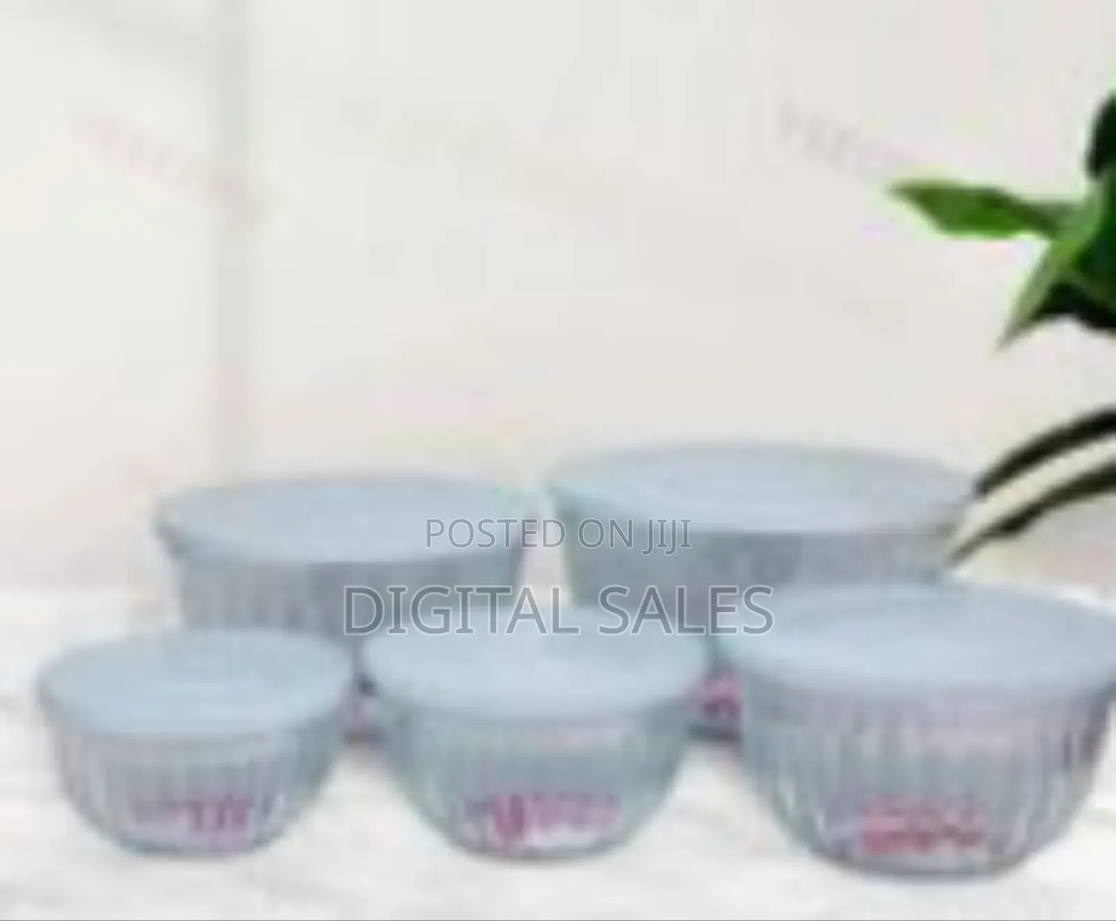 5 Pieces of Clear Plastic Salad Bowls With Airtight Lids, Disposable