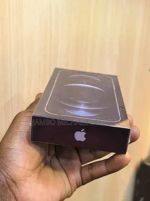 New Apple iPhone 12 Pro Max 256 GB Silver