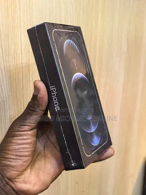 New Apple iPhone 12 Pro Max 256 GB Silver