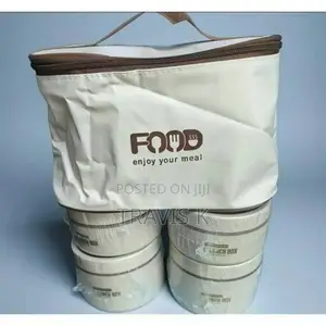 Insulated Lunch Box With Carry Bag