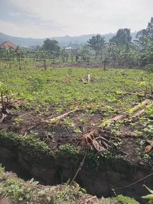 Located in Koranorya Mbarara