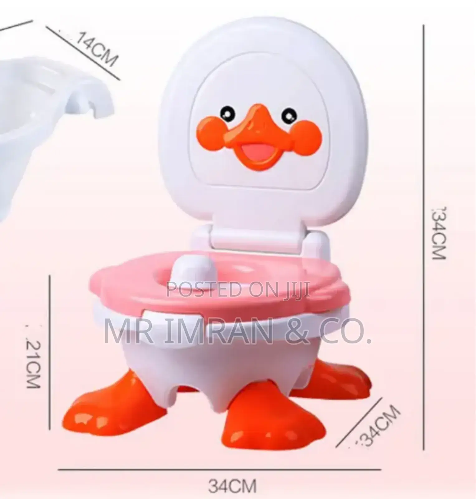 Duck Potty