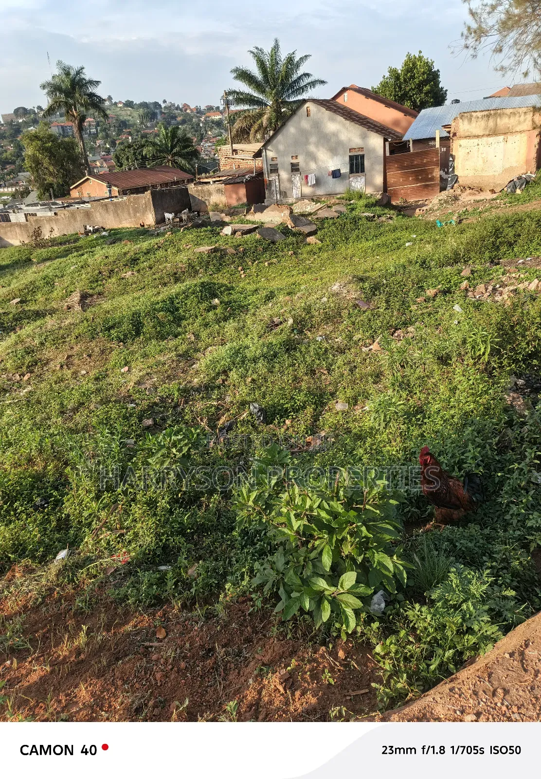 Land in Ntinda Kigowa