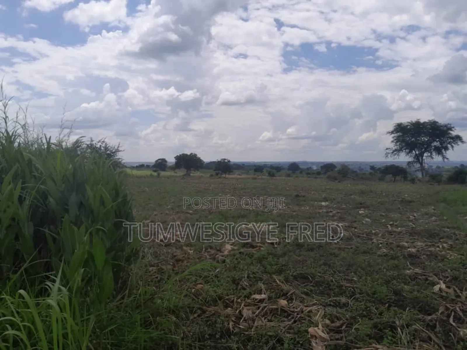 2000 Acres of Land for Sale in Nwoya District in Northern Uganda