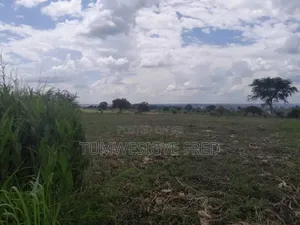2000 Acres of Land for Sale in Nwoya District in Northern Uganda