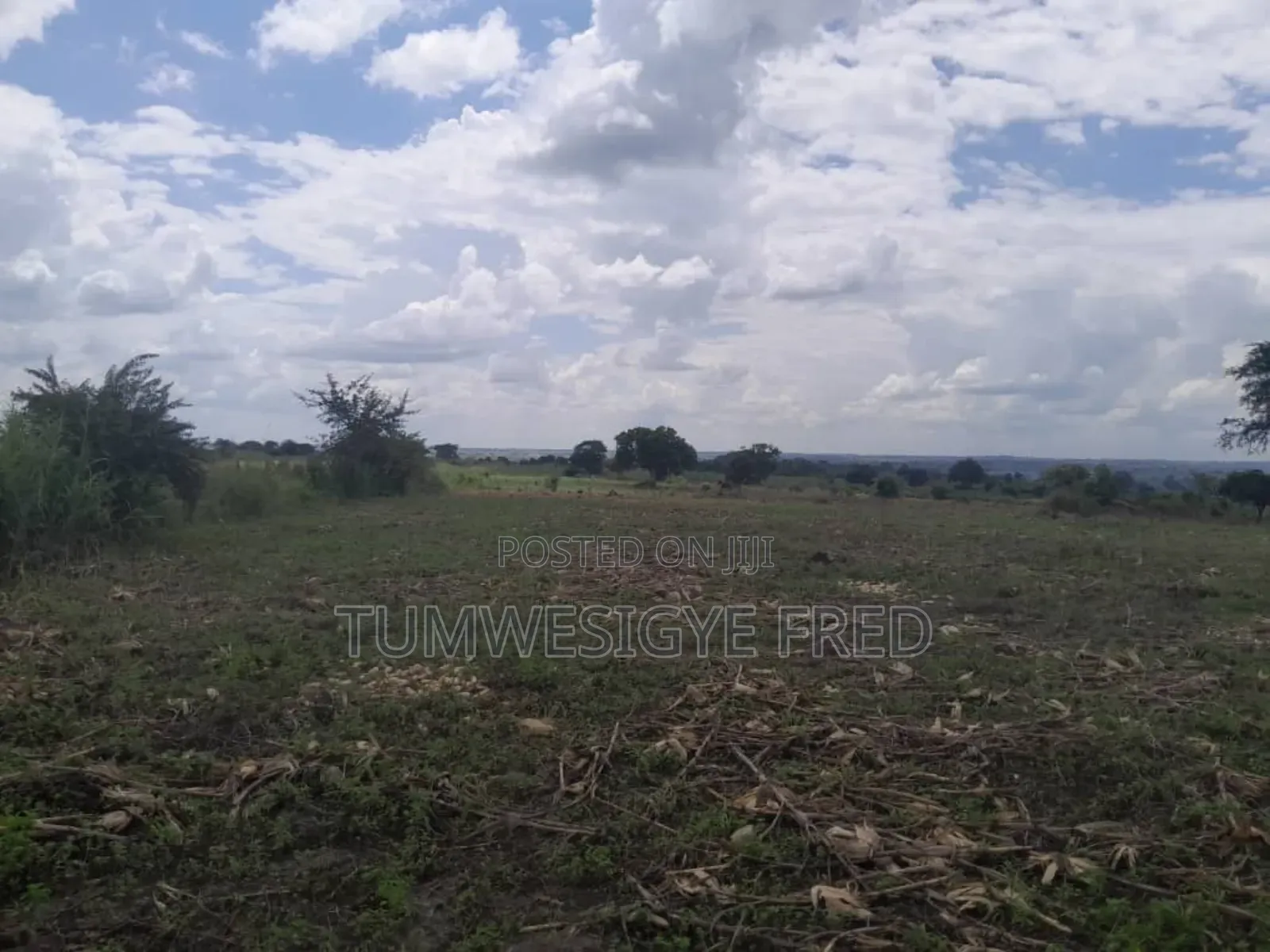 2000 Acres of Land for Sale in Nwoya District in Northern Uganda