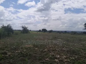 2000 Acres of Land for Sale in Nwoya District in Northern Uganda