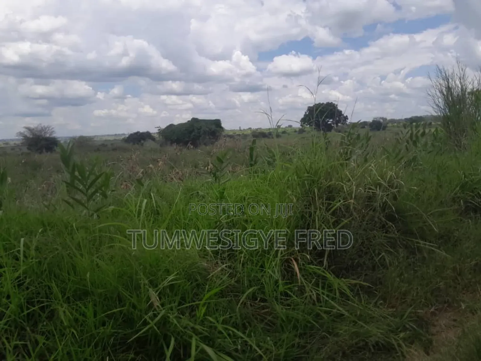 2000 Acres of Land for Sale in Nwoya District in Northern Uganda