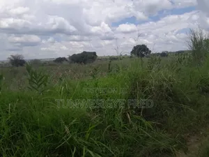 2000 Acres of Land for Sale in Nwoya District in Northern Uganda