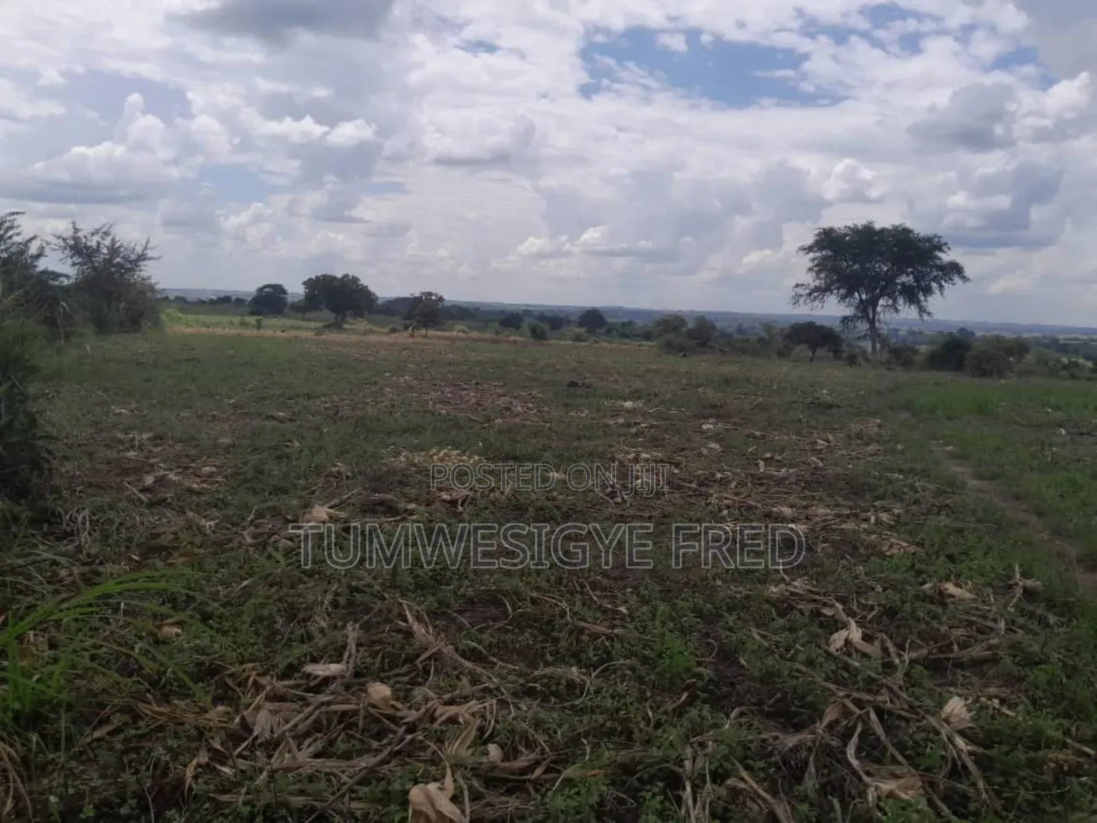 2000 Acres of Land for Sale in Nwoya District in Northern Uganda