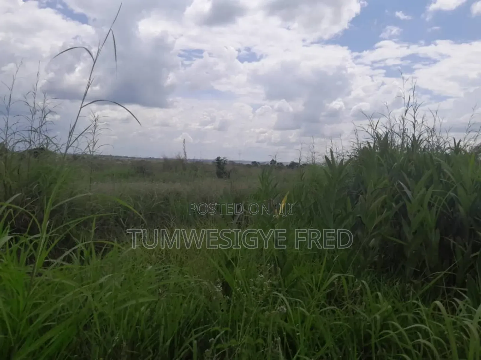 2000 Acres of Land for Sale in Nwoya District in Northern Uganda