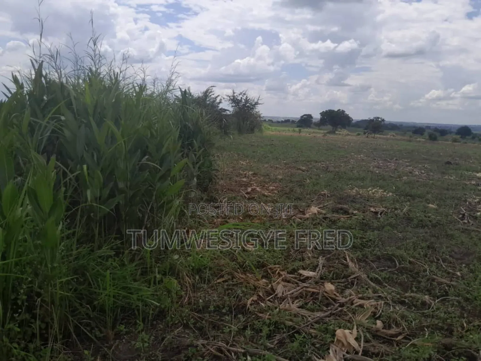 2000 Acres of Land for Sale in Nwoya District in Northern Uganda