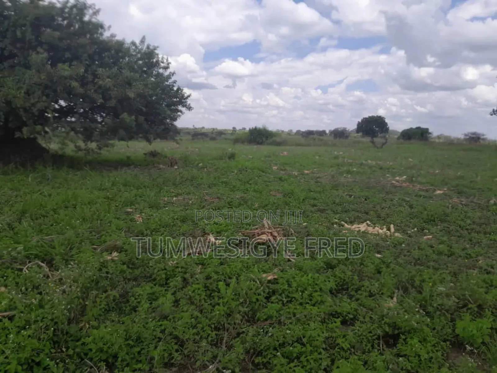 2000 Acres of Land for Sale in Nwoya District in Northern Uganda
