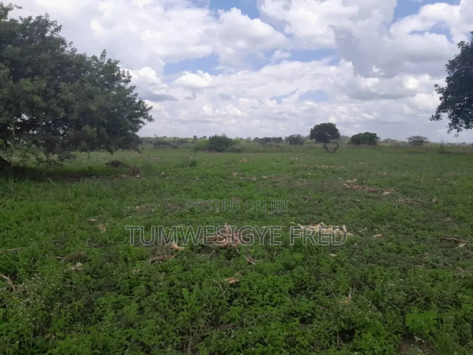 2000 Acres of Land for Sale in Nwoya District in Northern Uganda