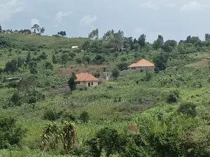 100b100ft on Sale in Kiwenda Luunga