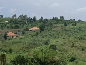 100b100ft on Sale in Kiwenda Luunga