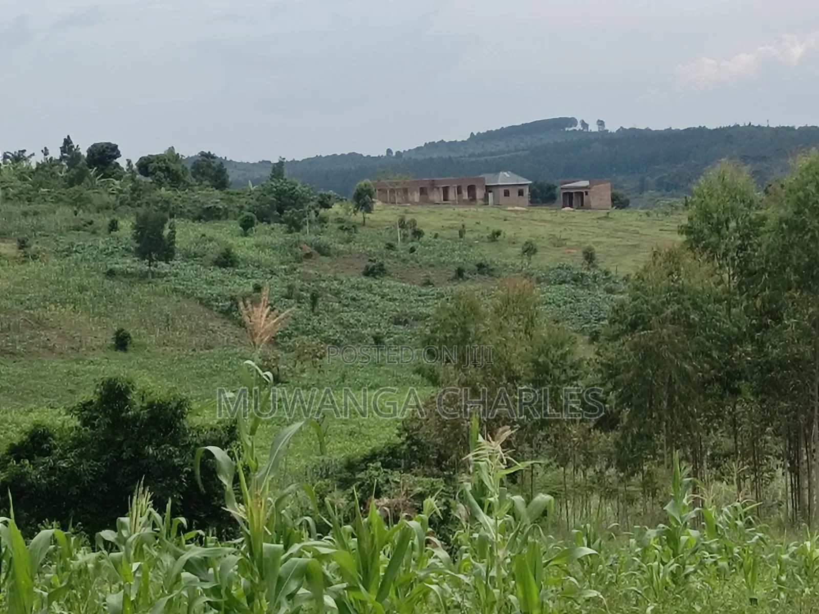 100b100ft on Sale in Kiwenda Luunga