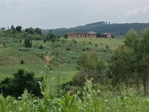 100b100ft on Sale in Kiwenda Luunga