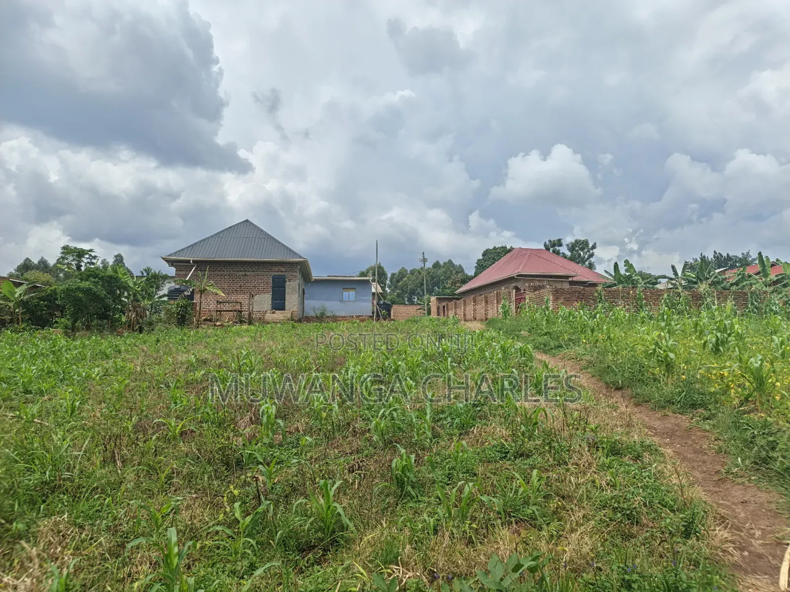 100b100ft on Sale in Kiwenda Luunga