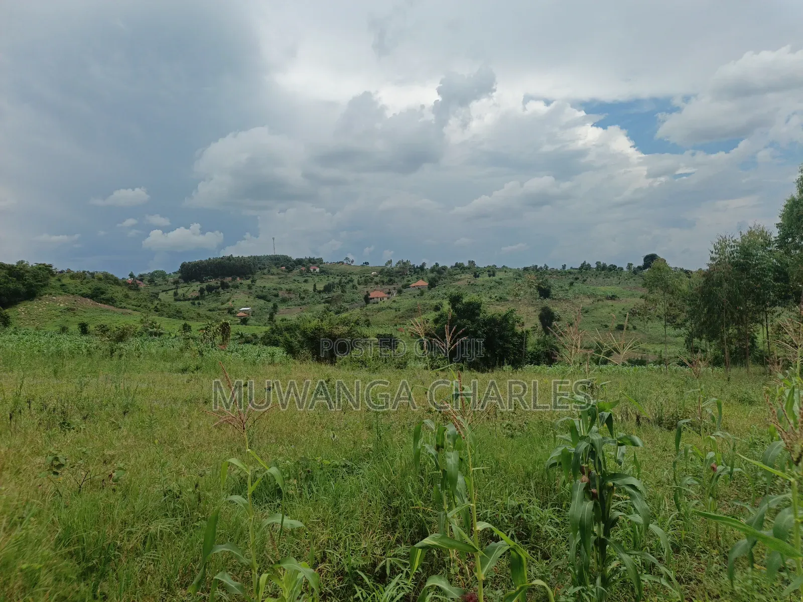 100b100ft on Sale in Kiwenda Luunga
