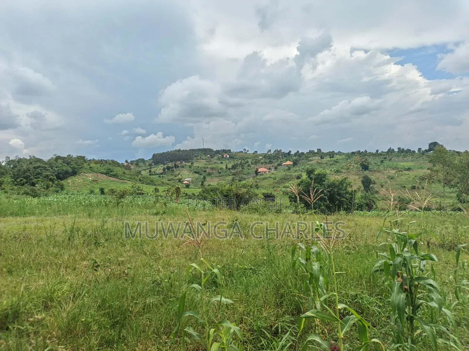 100b100ft on Sale in Kiwenda Luunga