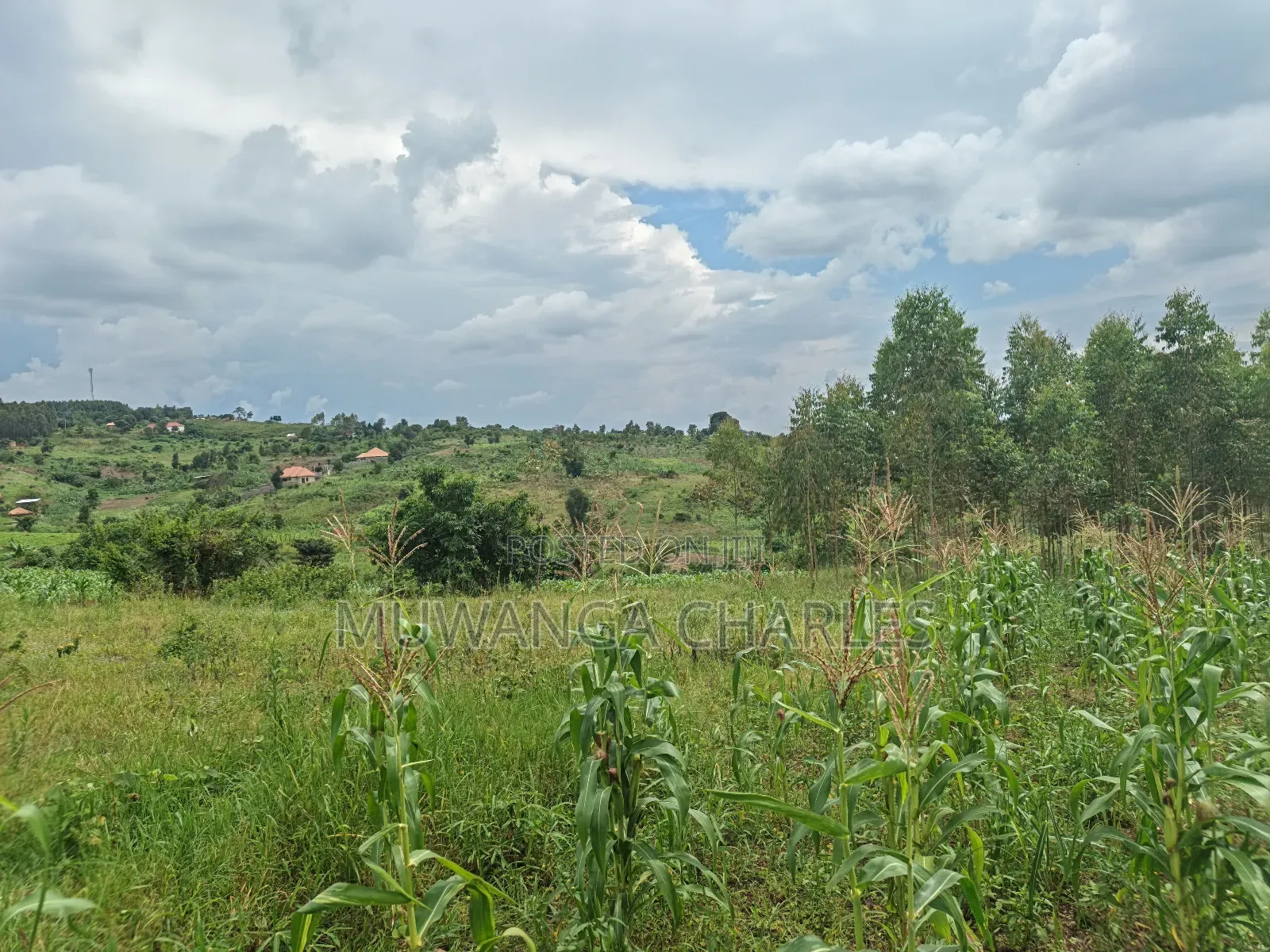 100b100ft on Sale in Kiwenda Luunga