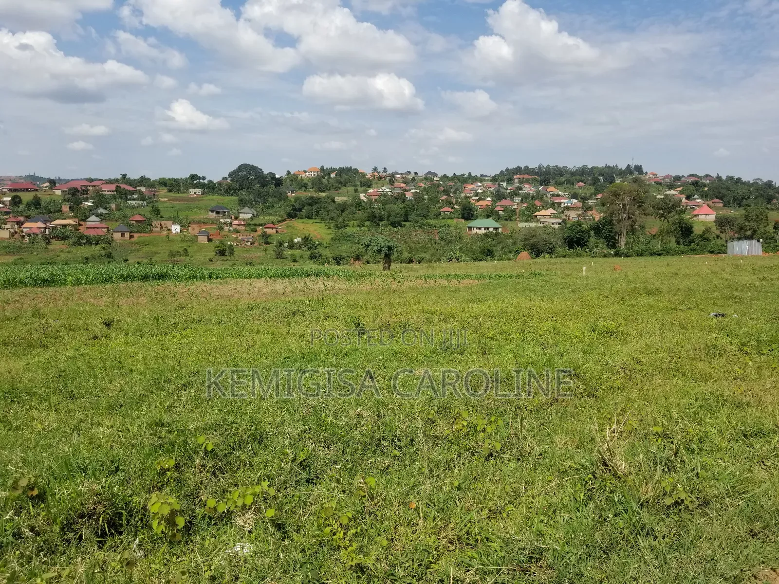 50 * 100 Ft Titled Plots for Sale in Buloba