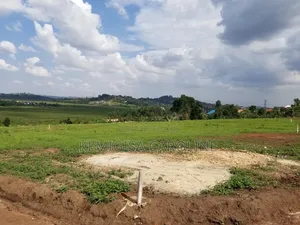 50 * 100 Ft Titled Plots for Sale in Buyala Near Masheda