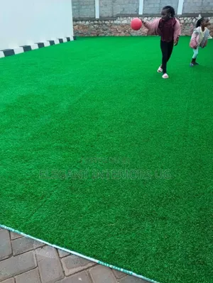 Grass Carpets Used in Many Places Such as Shops