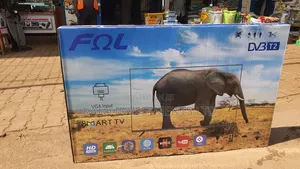 Fol 55 Inches Smart Tv With Vga