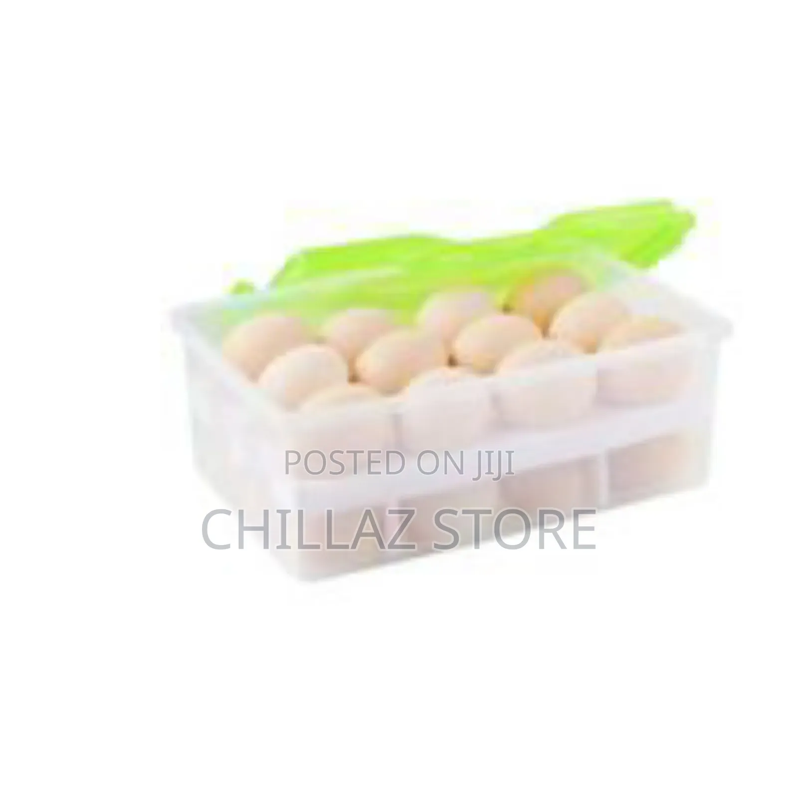 2 Layers Egg Storage Container.