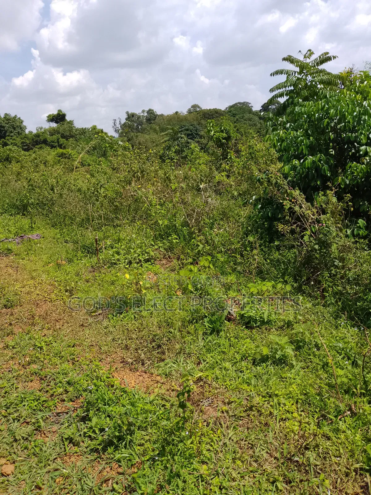 150 Acres of Mailo Land for Sale in Kapeeka 15m Each