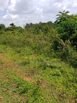 150 Acres of Mailo Land for Sale in Kapeeka 15m Each