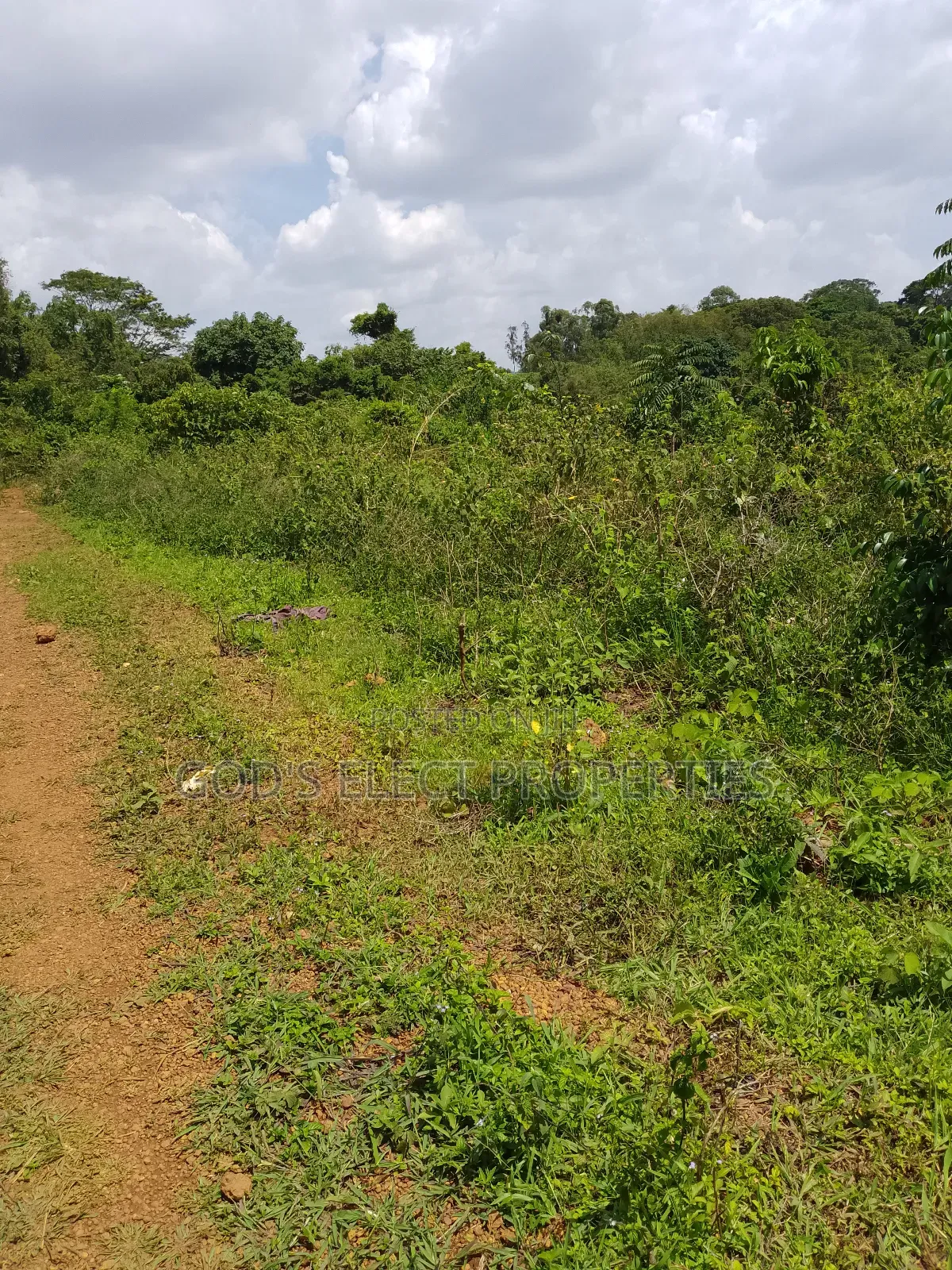 150 Acres of Mailo Land for Sale in Kapeeka 15m Each