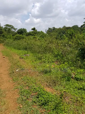 150 Acres of Mailo Land for Sale in Kapeeka 15m Each