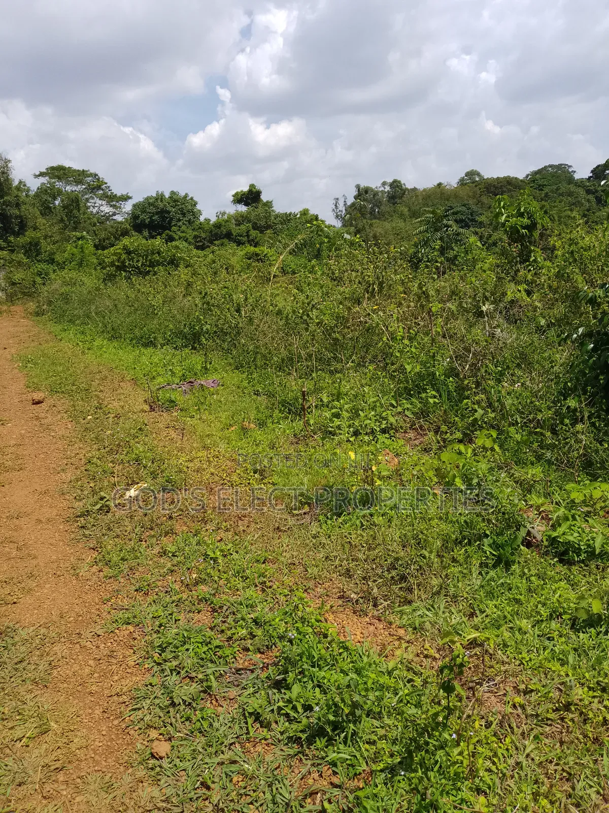 150 Acres of Mailo Land for Sale in Kapeeka 15m Each