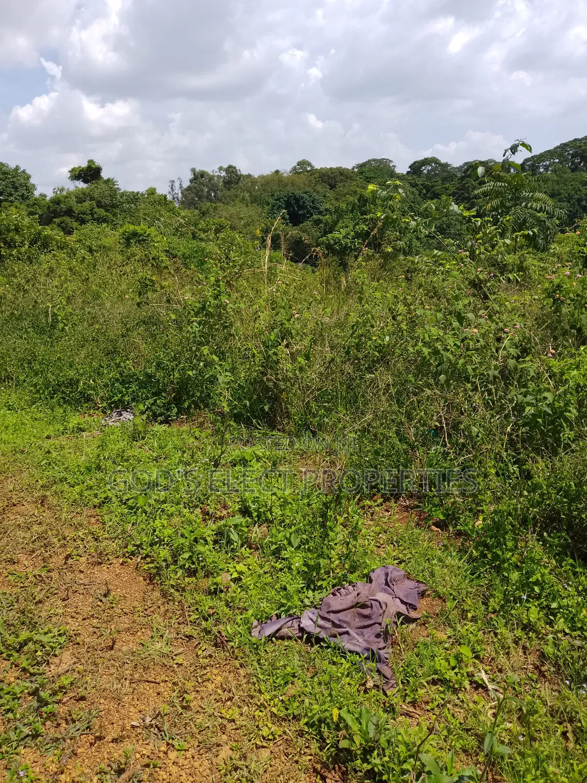 150 Acres of Mailo Land for Sale in Kapeeka 15m Each