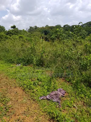 150 Acres of Mailo Land for Sale in Kapeeka 15m Each