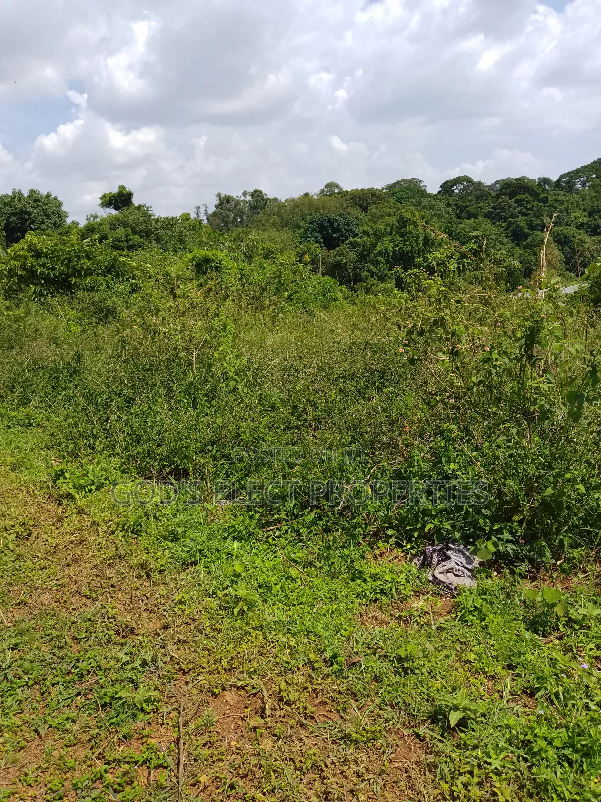 150 Acres of Mailo Land for Sale in Kapeeka 15m Each