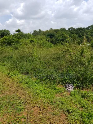 150 Acres of Mailo Land for Sale in Kapeeka 15m Each