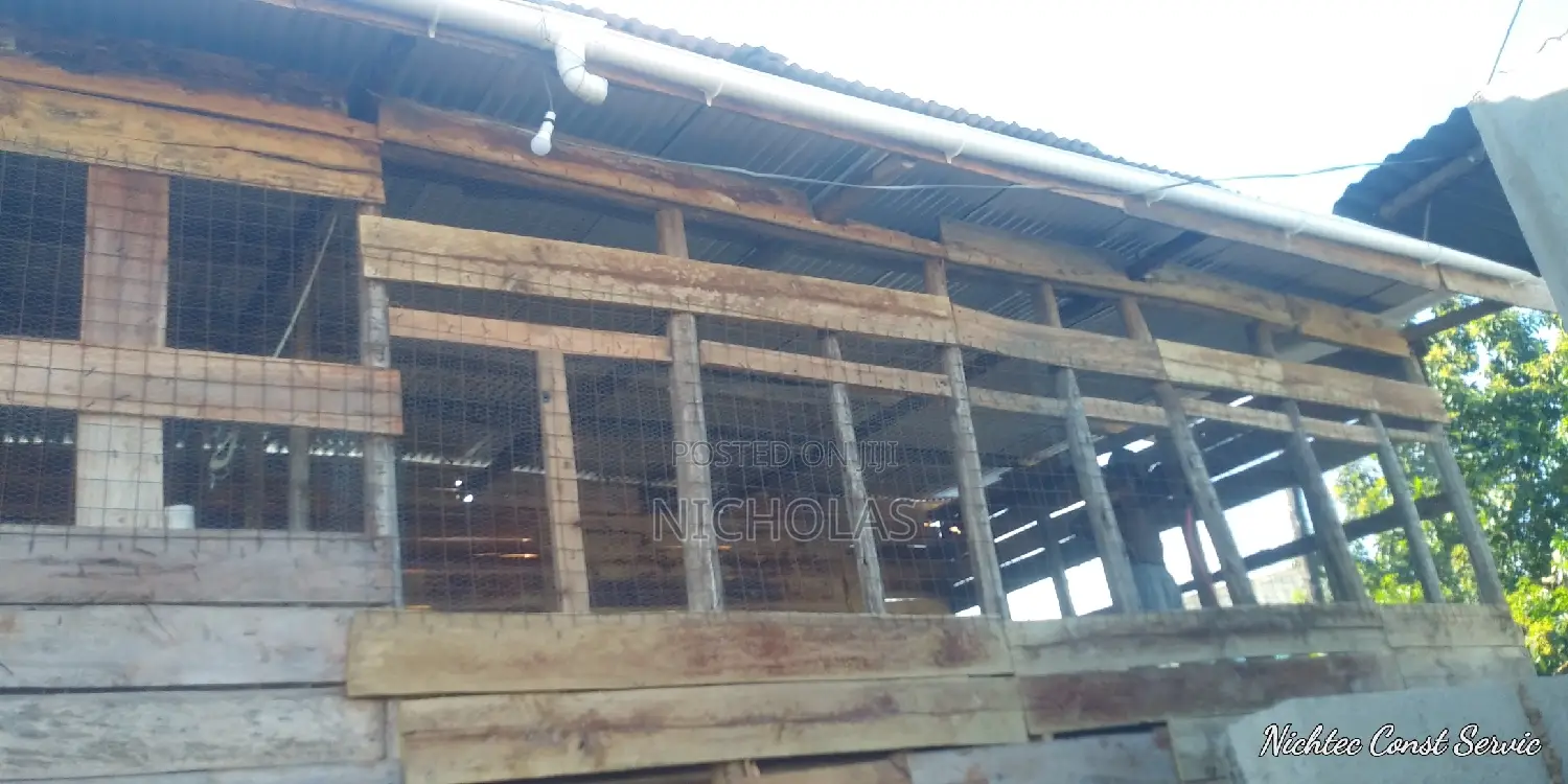 Chicken Coop Construction