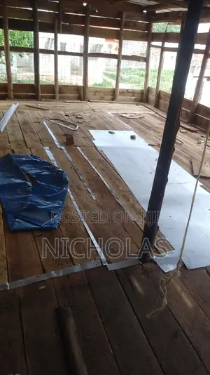 Chicken Coop Construction