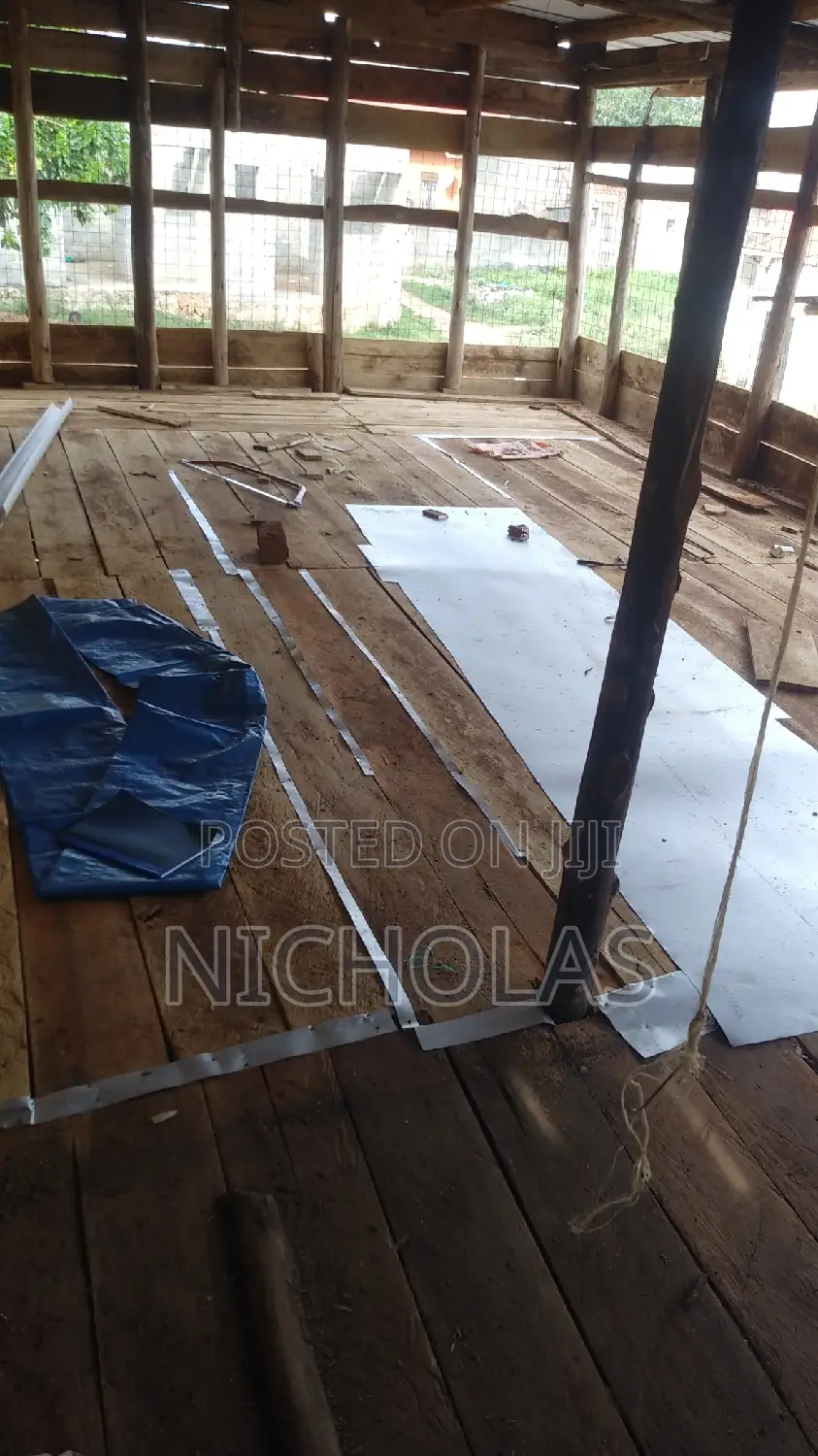 Chicken Coop Construction