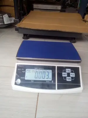 Industry Digital Weighing Scale 30g/1g
