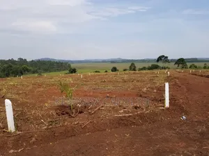 50 * 100 Ft Titled Plots in Konge